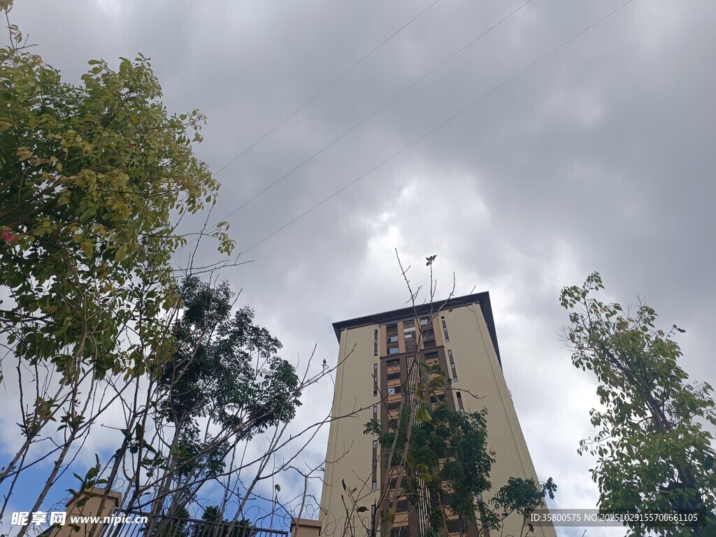 仰視高樓與綠樹