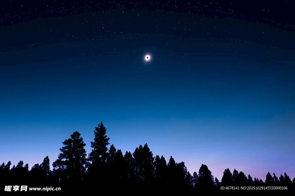 夜幕下的森林與天際明月