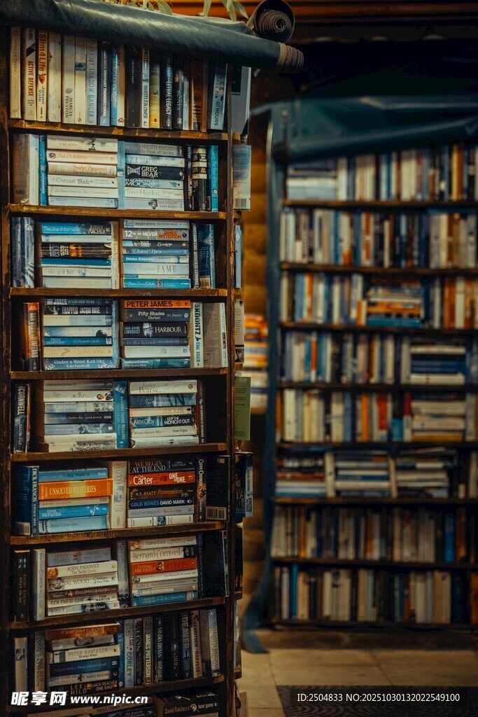 滿是書籍的溫馨書房角落