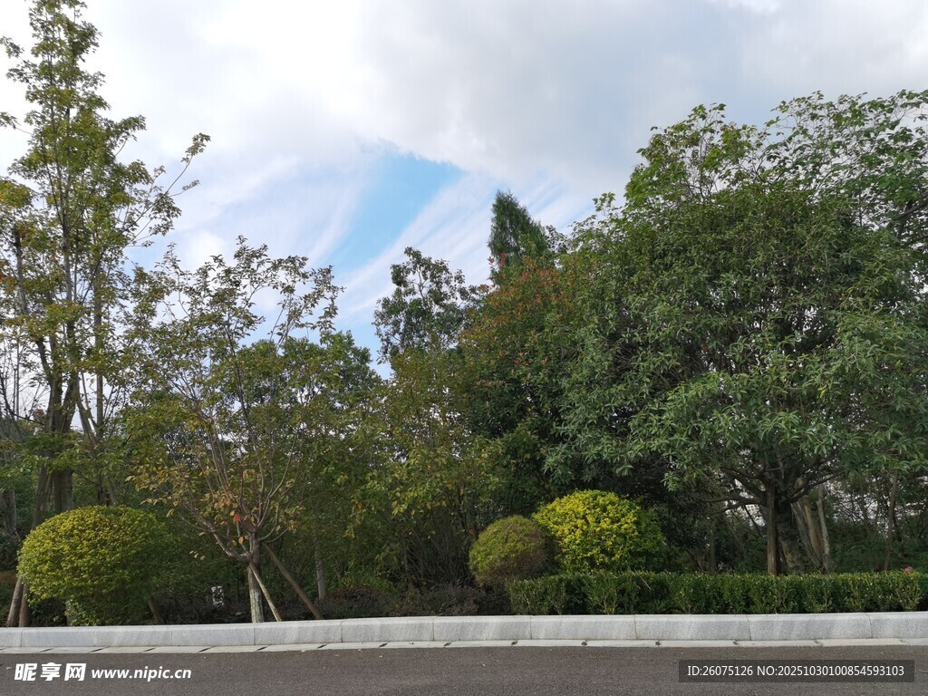 城市中的綠意景觀