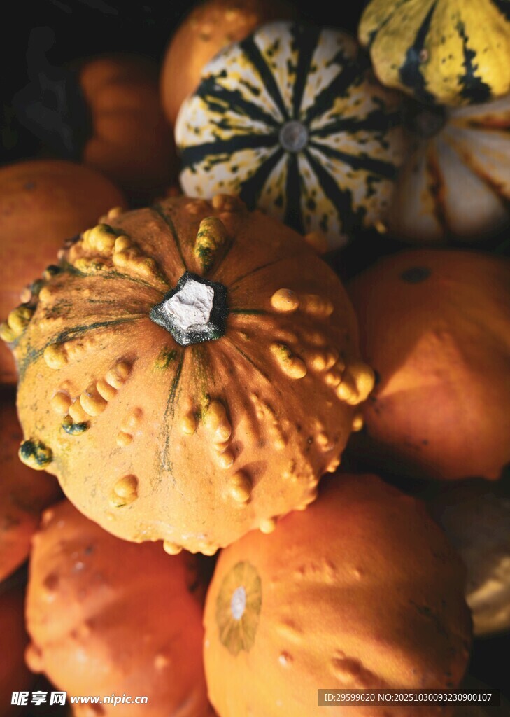 多彩南瓜堆疊展示