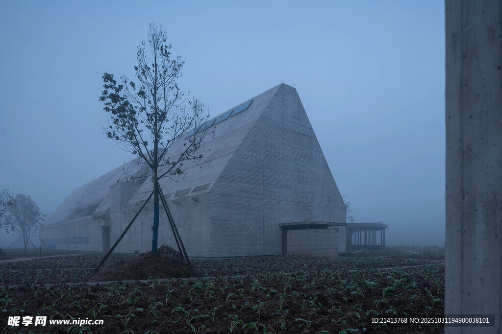 霧中三角建筑與孤樹