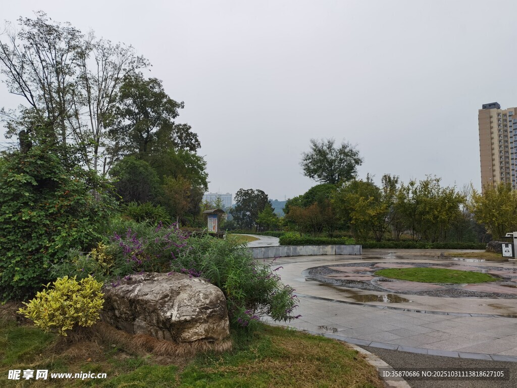 城市公園雨后景致