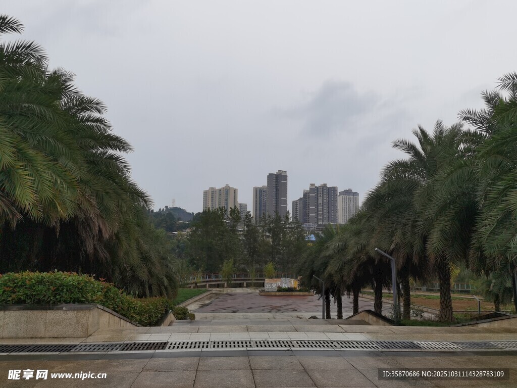 雨中城市林蔭道景觀