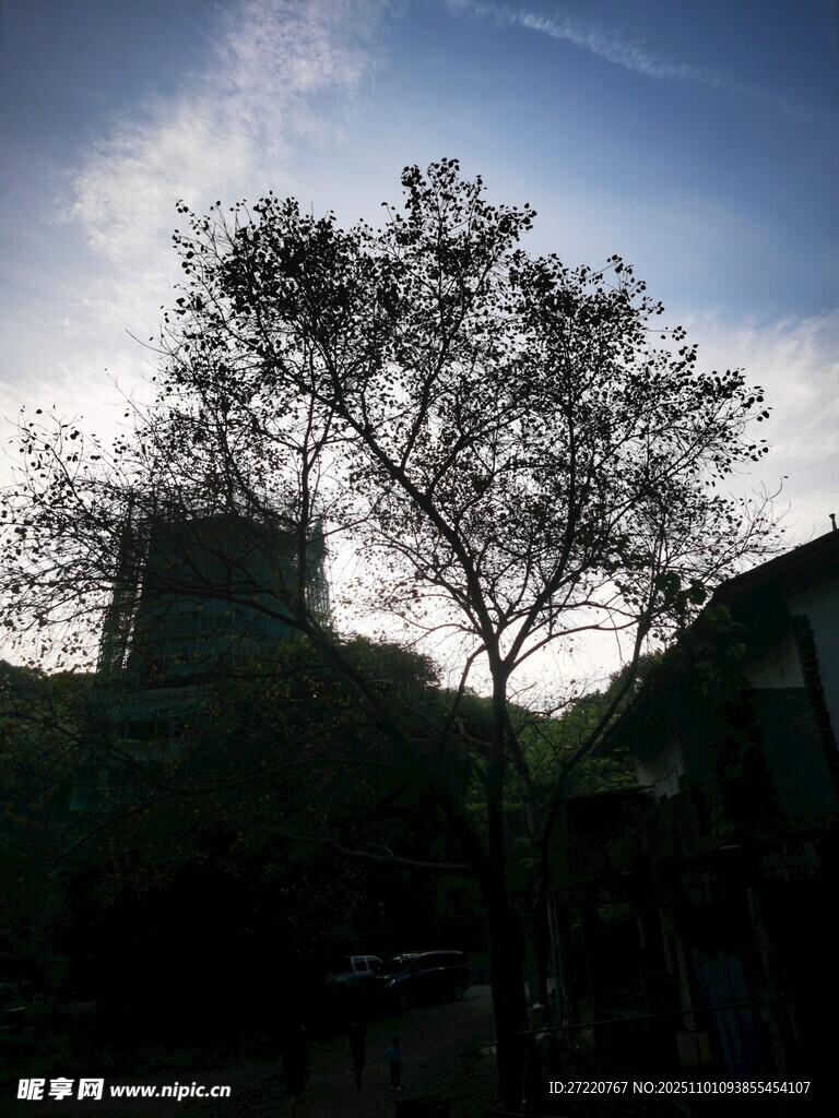 夕陽下的孤樹與建筑