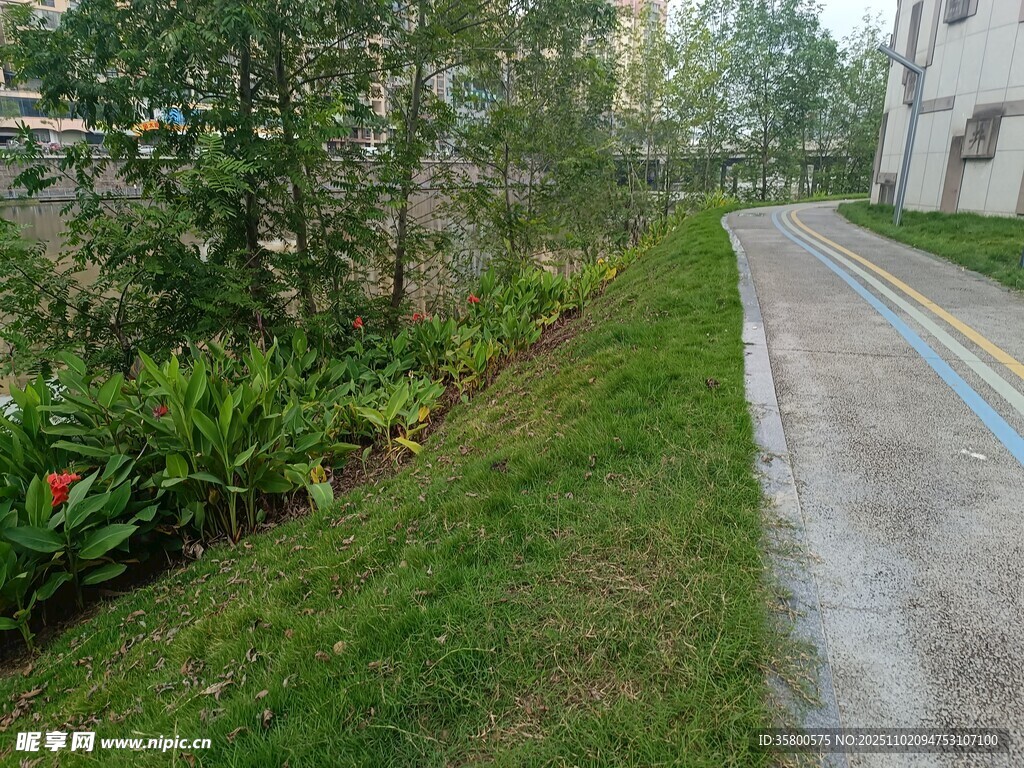 小區(qū)內(nèi)的彩色步道與綠植