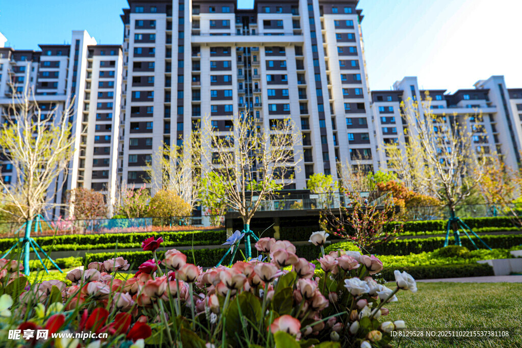 花園旁的現(xiàn)代高層住宅