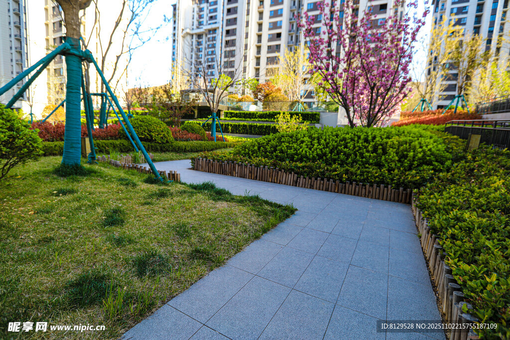 小區(qū)內的優(yōu)美綠化景觀