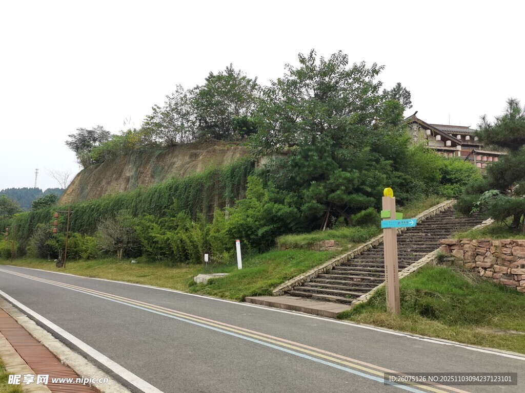 鄉(xiāng)村公路旁的綠意景致