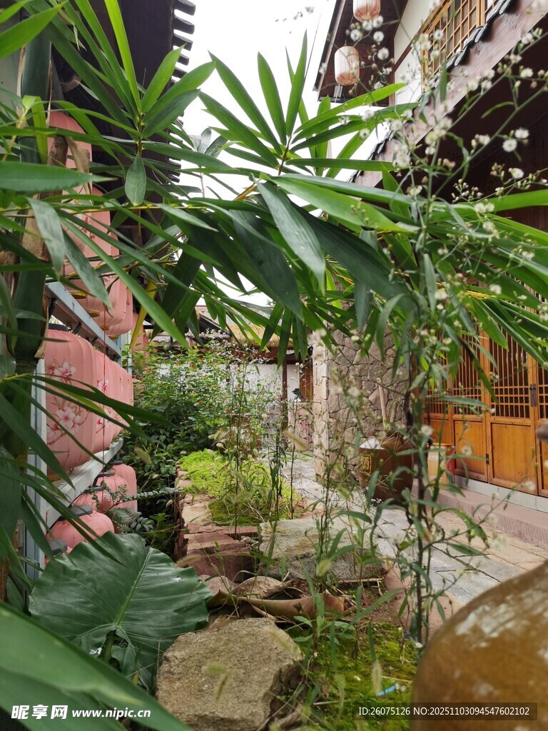 古巷中的綠植庭院景致