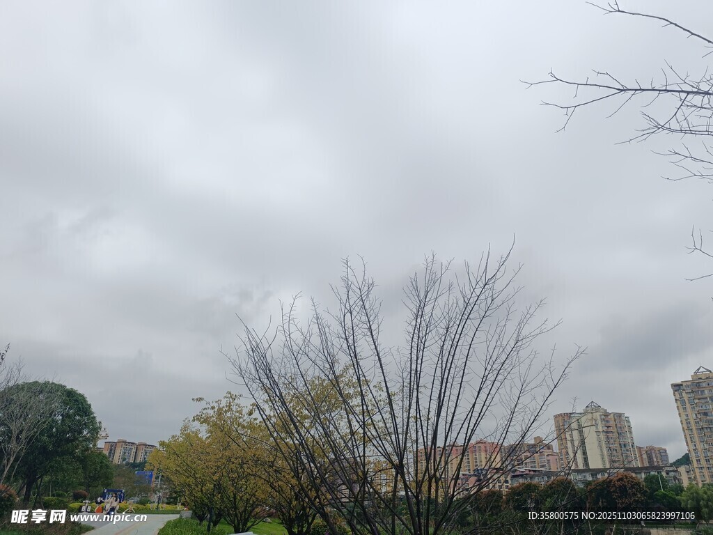 陰天城市公園景象
