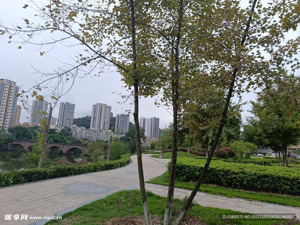 城市公園中的綠樹與步道