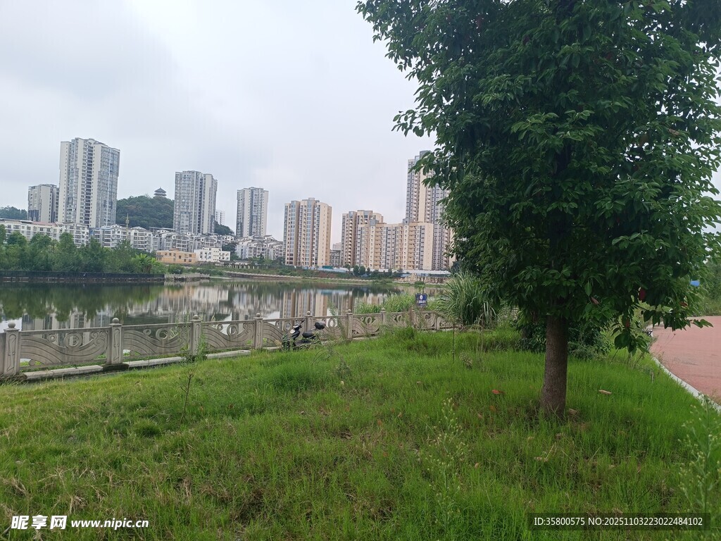 城市邊的綠地與高樓景觀