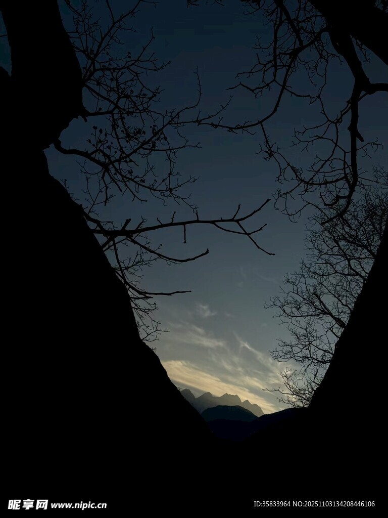 夜幕下的樹影與天際