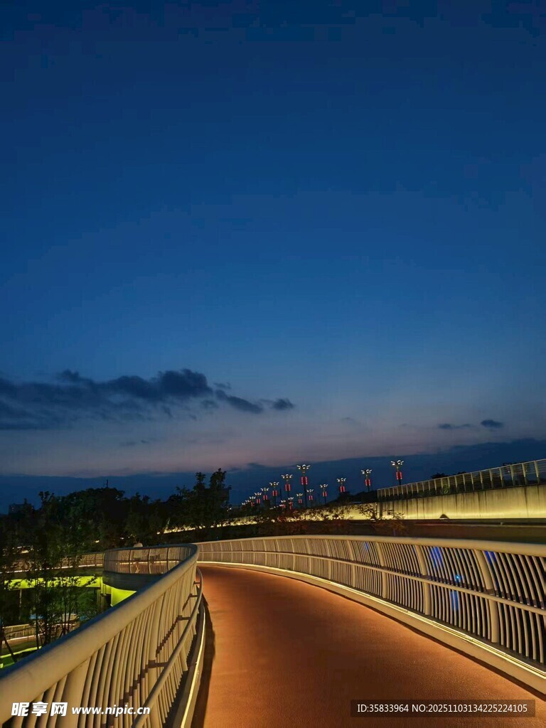 夜幕下的絢麗步道