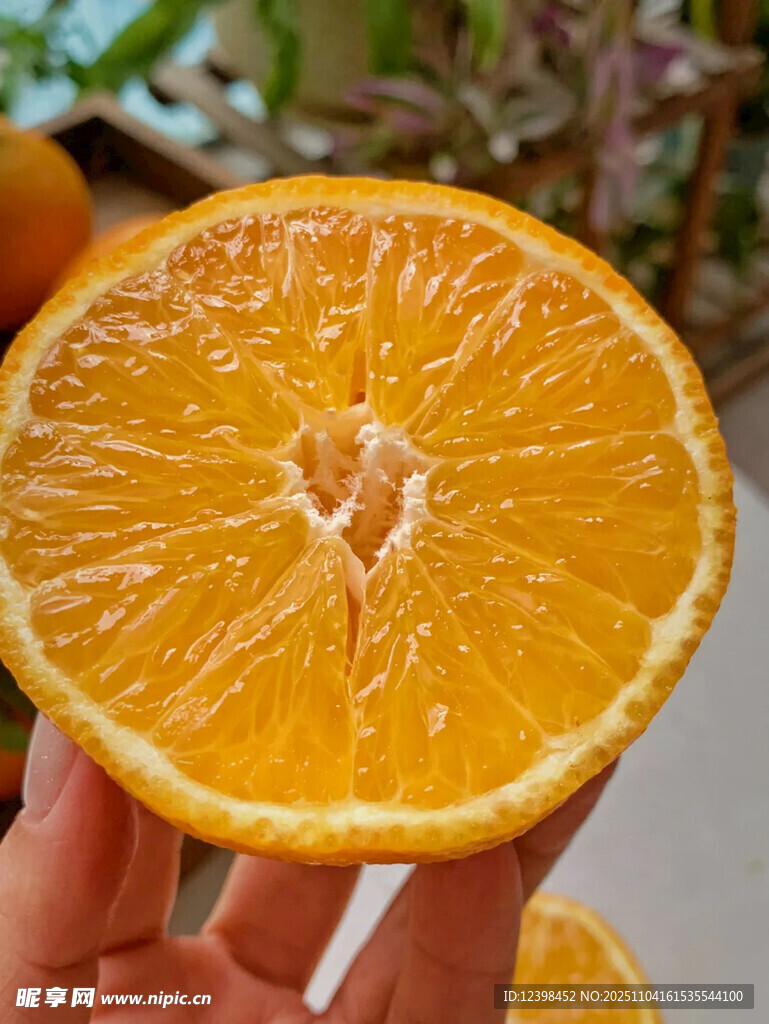 手捧新鮮切開的多汁橙子