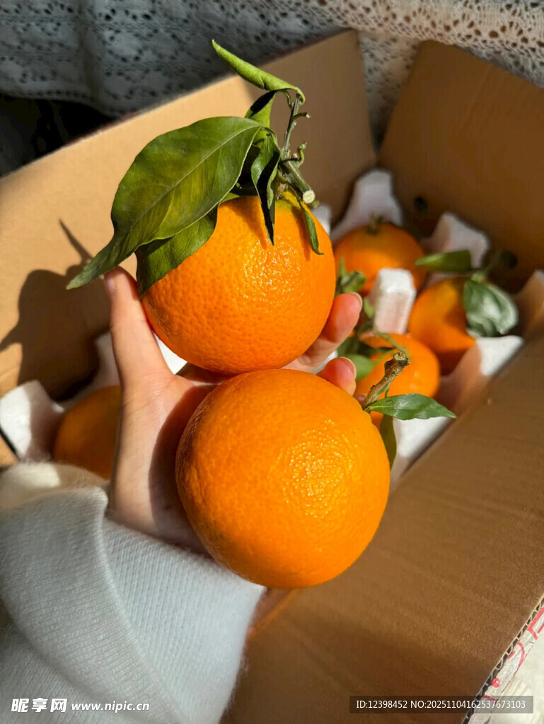 手捧箱中鮮橙