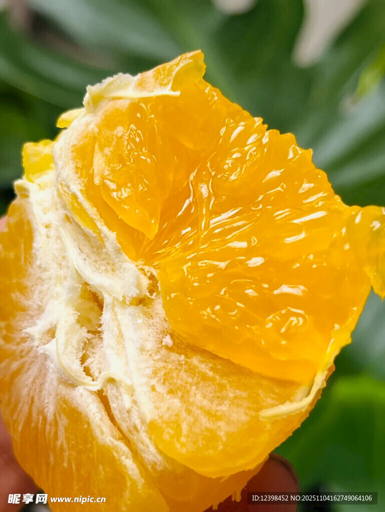 剝開的新鮮多汁蜜橘