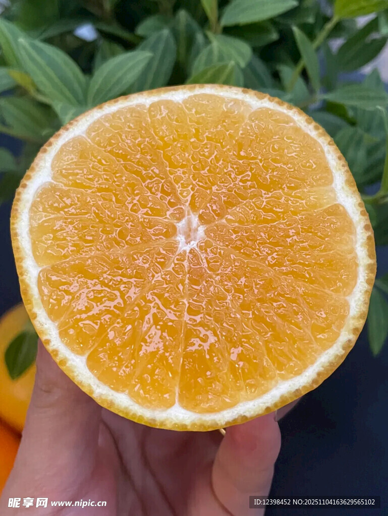 手捧鮮切多汁橙子