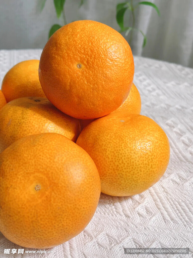 一堆新鮮橙子