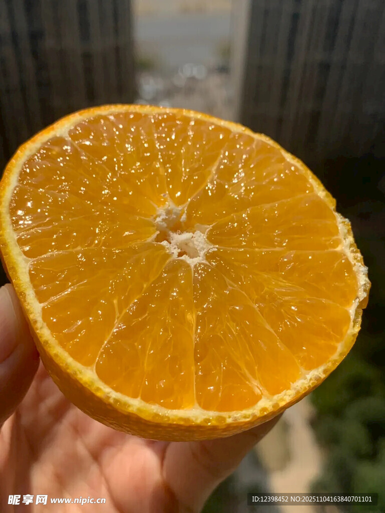 手捧多汁切開的新鮮橙子