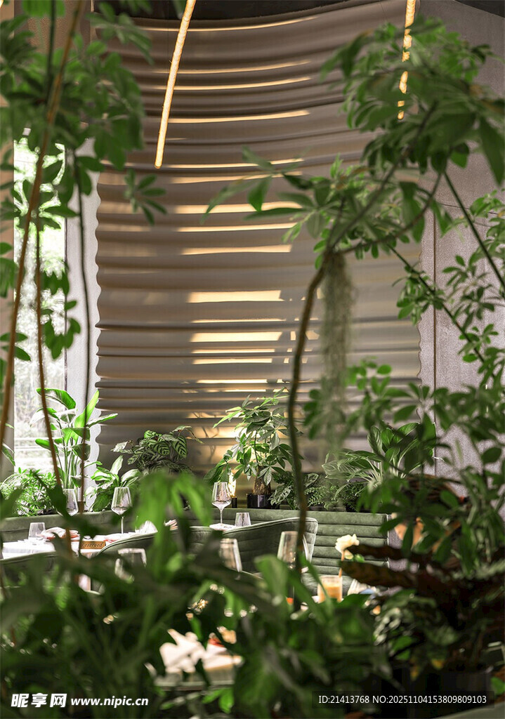 室內(nèi)綠植環(huán)繞的自然空間