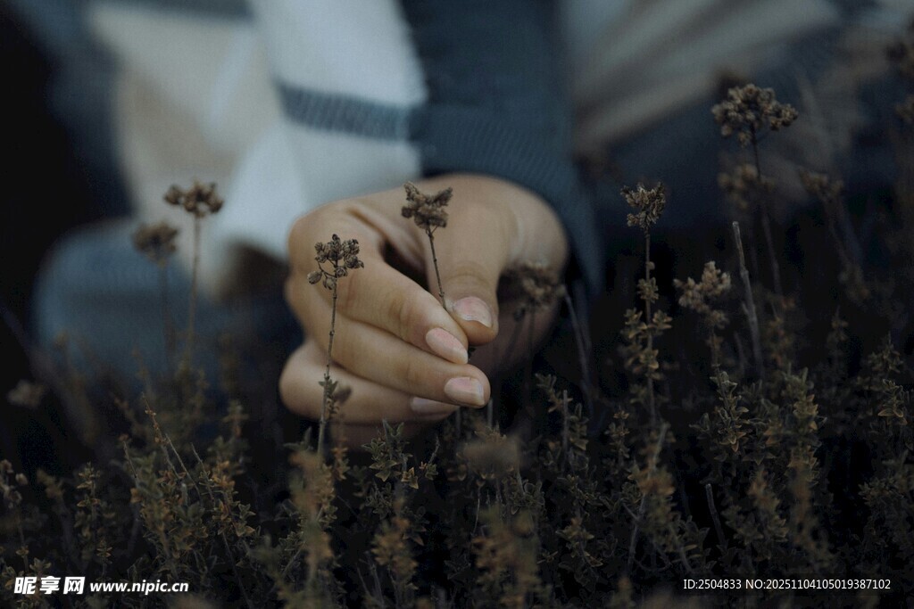 手撫花草 感受自然之美