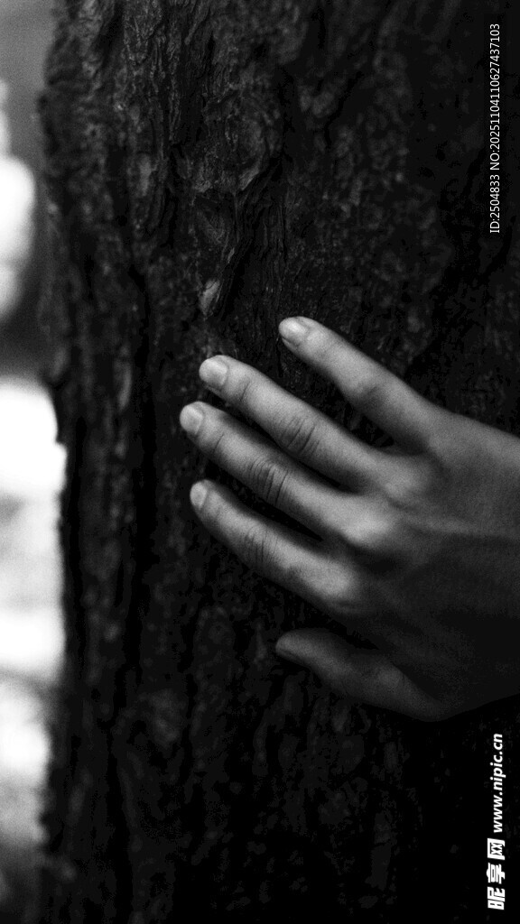 手觸樹干 感受自然紋理