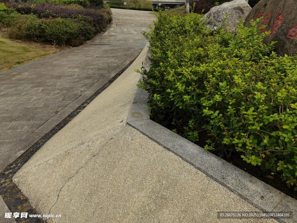 庭院小徑旁的綠植景觀