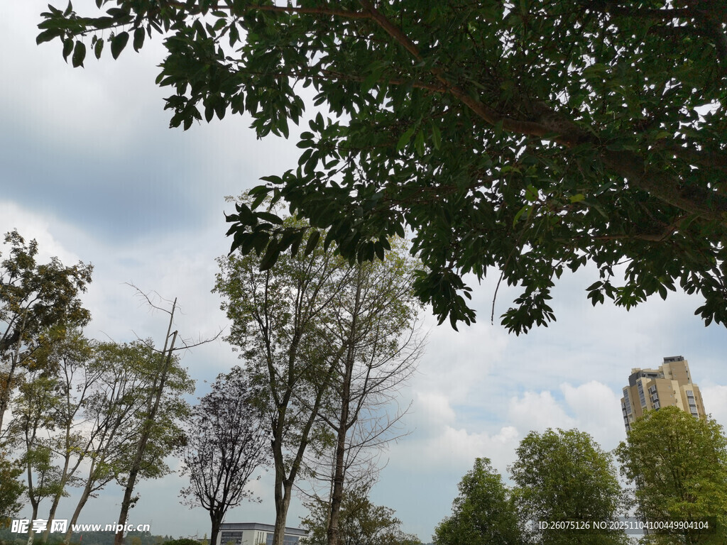 林間塔樓綠意盎然景致