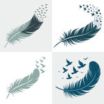 羽毛與飛鳥圖案