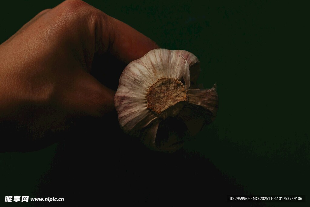 手握著一顆大蒜