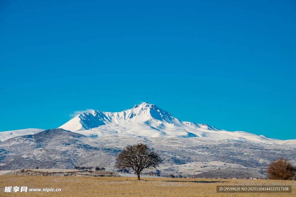 雪山孤樹藍(lán)天壯美風(fēng)光