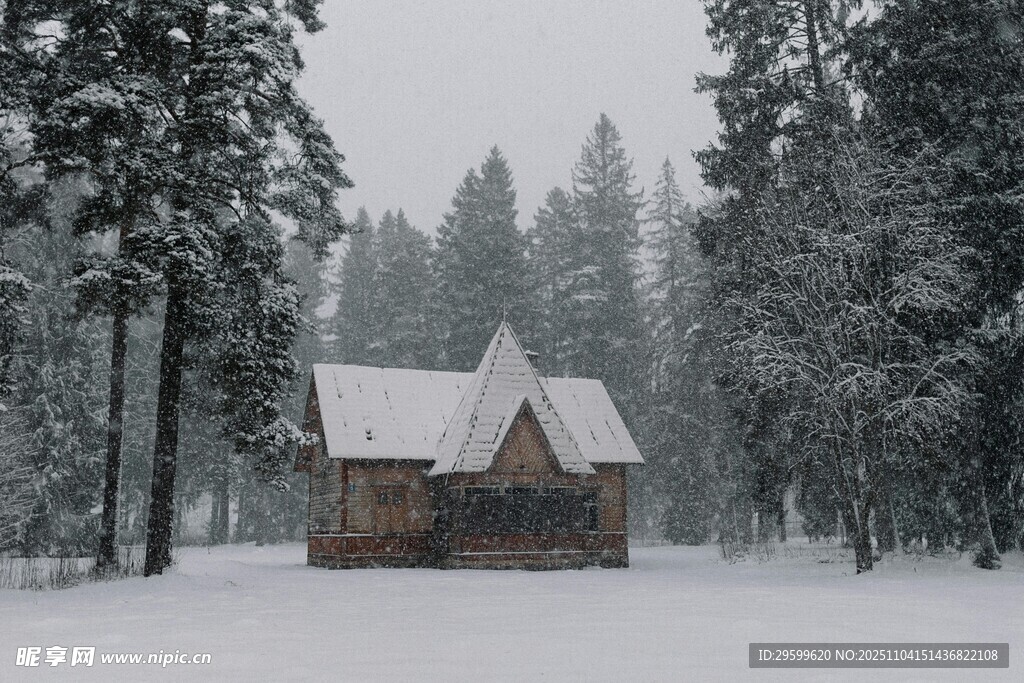 雪林中的靜謐小屋