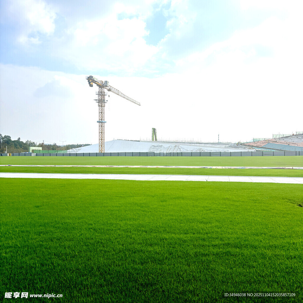 綠地上的高聳起重機