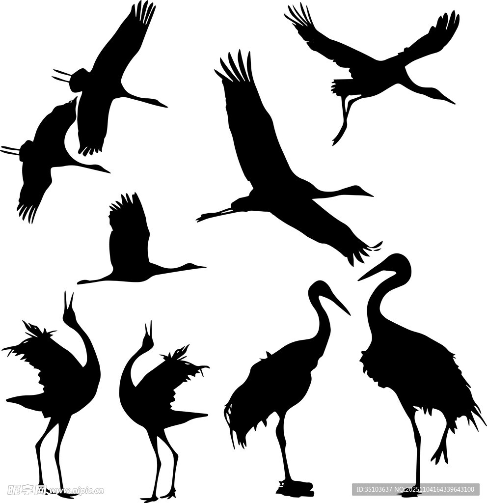 鶴的多樣剪影姿態(tài)