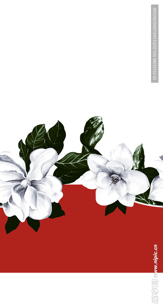 紅色背景上的白色梔子花