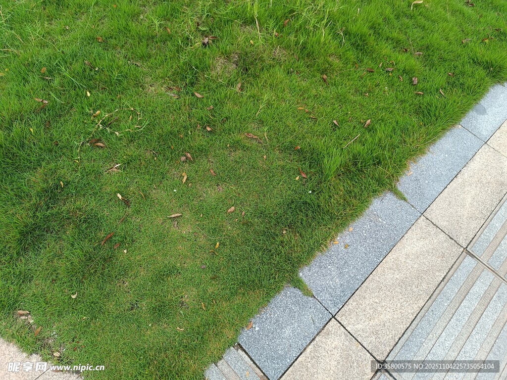 草地與石板路的景致