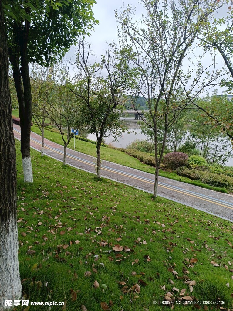 秋日公園小徑風(fēng)景