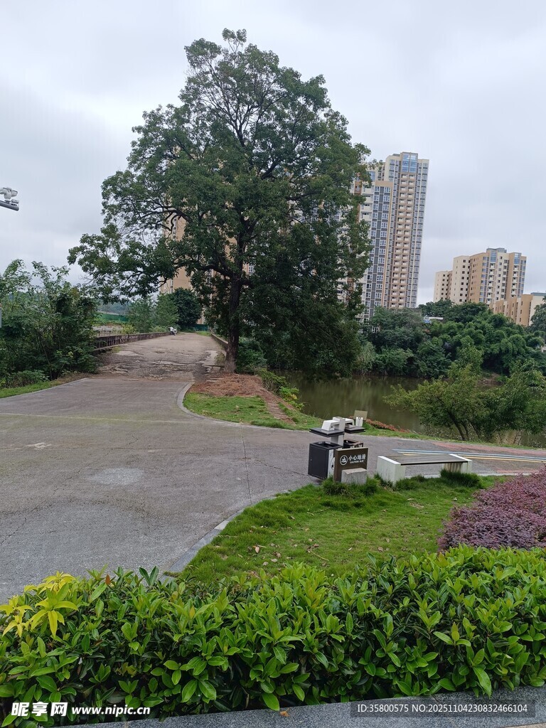 城市中的靜謐綠化景觀(guān)