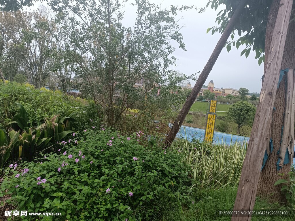 鄉(xiāng)村田野中的綠植與設(shè)施