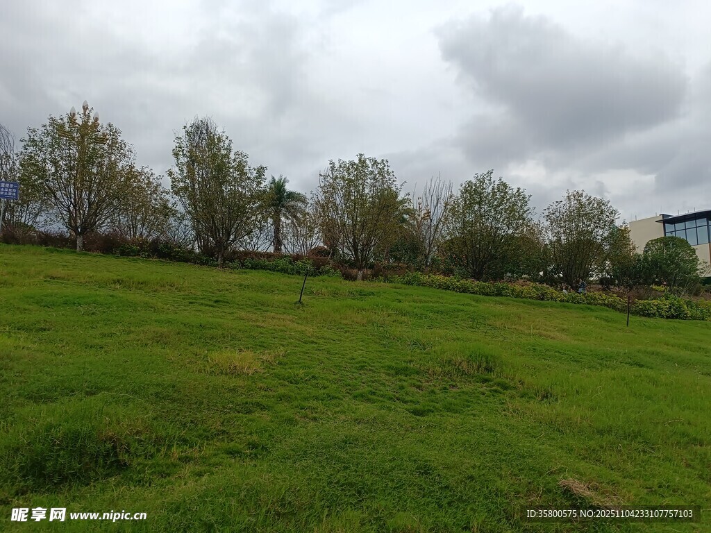 郊外綠野風(fēng)光