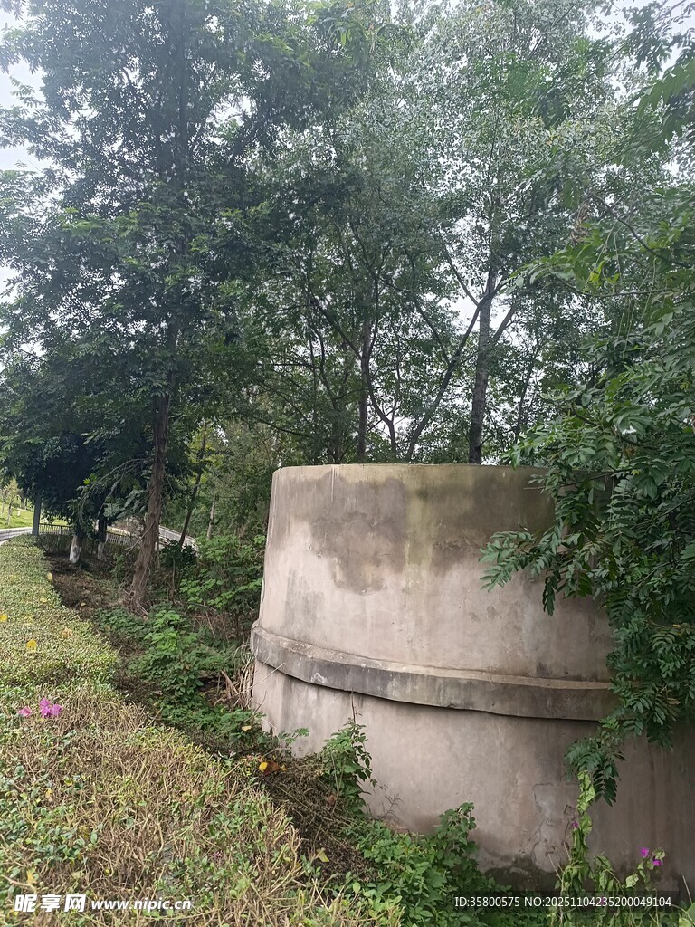 廢棄碉堡隱于草木之間