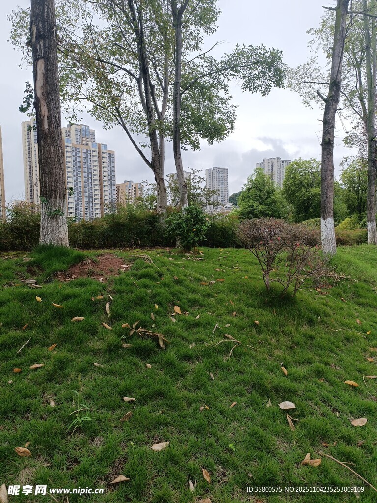 城市中的綠意草地景觀