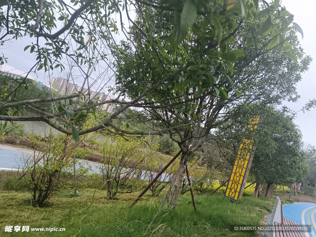 戶外綠樹與施工場(chǎng)景