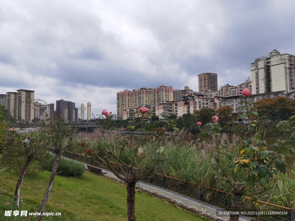 城市住宅區(qū)旁的綠植景觀