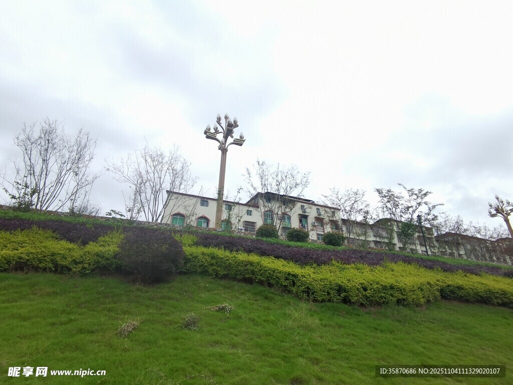 戶外綠地旁的建筑景觀