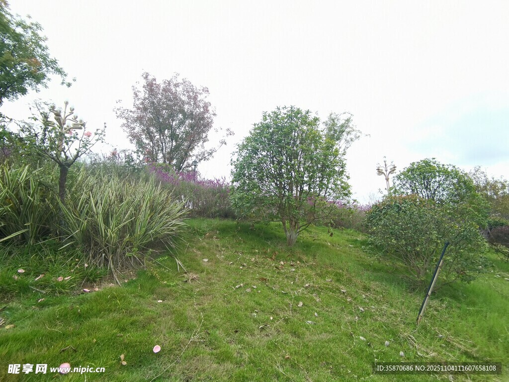 春日野外綠意盎然景色