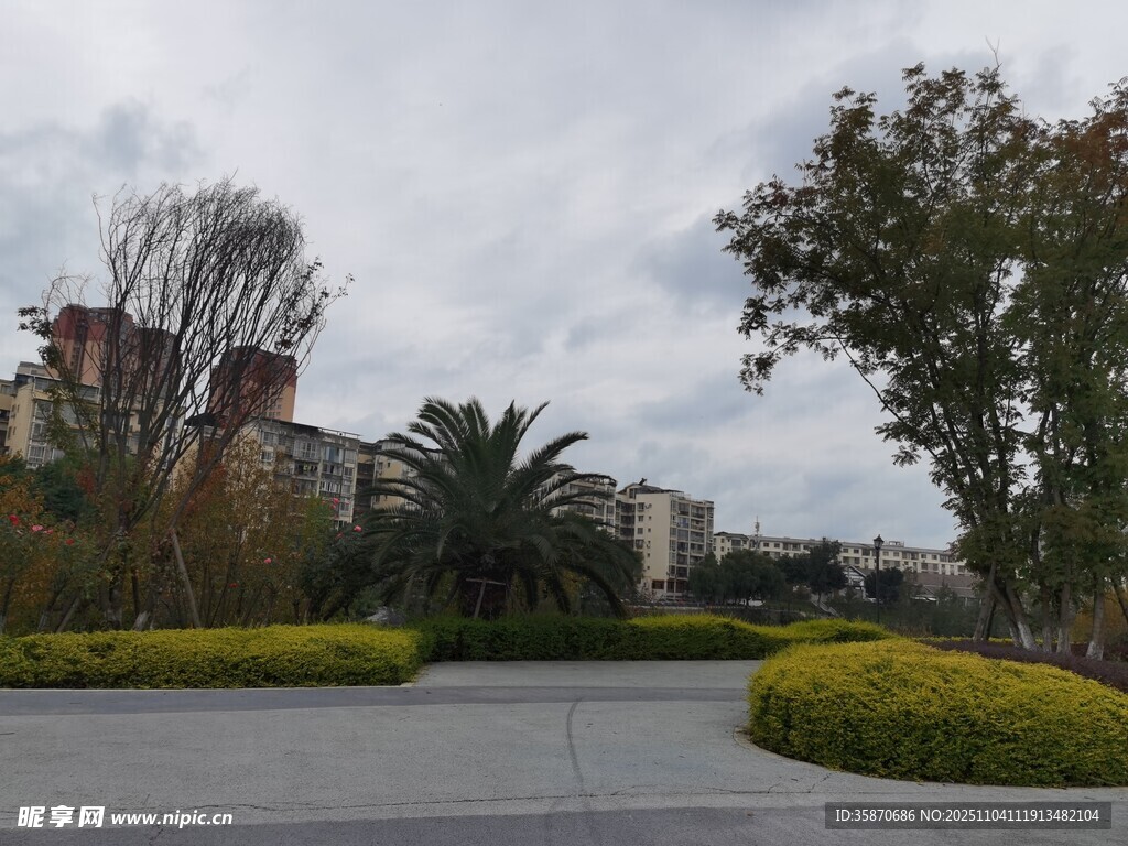 小區(qū)景觀道路綠植景色