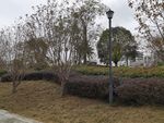 公園內(nèi)的路燈與綠植景觀